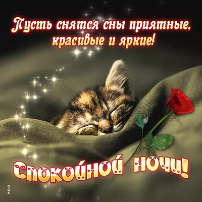 Picture картинка пусть сняться сны приятные
