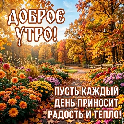 Picture картинка радости и тепла этим утром