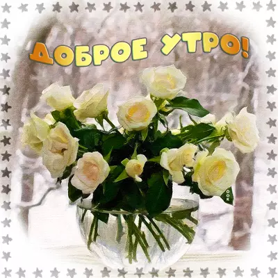 Picture картинка с букетом белых роз