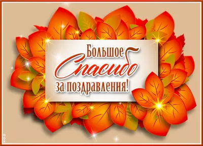 Postcard картинка спасибо за поздравления