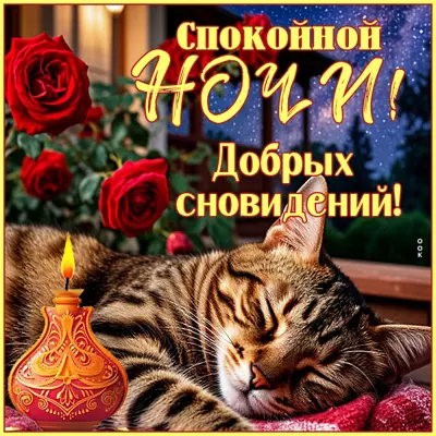 Picture картинка спокойной ночи, добрых сновидений