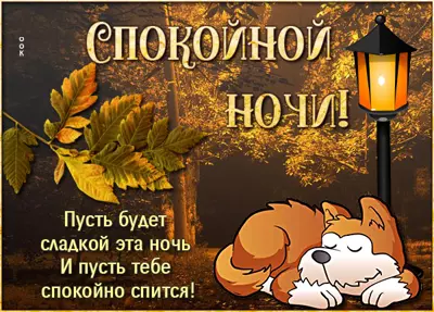Picture картинка спокойной ночи с щеночком