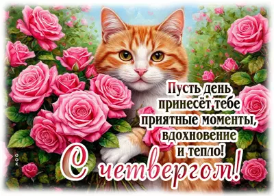 Postcard картинка тепла и радости в этот четверг