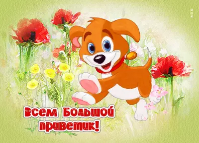 Picture картинка теплый привет с пёсиком