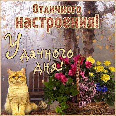 Picture картинка удачного дня !