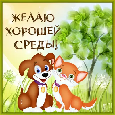Picture картинка уже среда