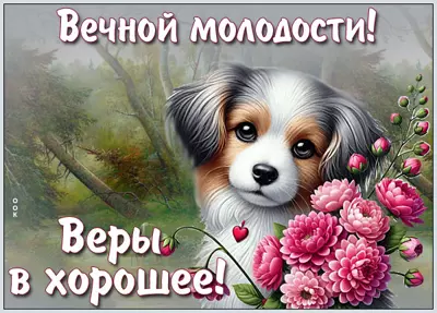 Postcard картинка вечной молодости и веры в хорошее