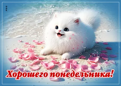 Postcard картинка хорошего и теплого понедельника