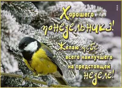 Postcard картинка хорошего понедельника