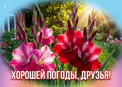 Picture картинка хорошей погоды, друзья