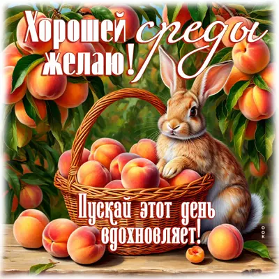 Postcard картинка хорошей среды желает