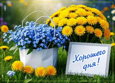 Picture картинка желает хорошего дня и настроения