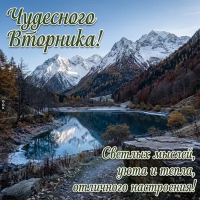 Postcard картинка желаю прекрасного вторника