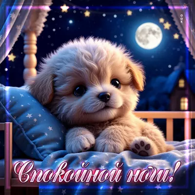 Picture картинка желаю волшебных сновидений