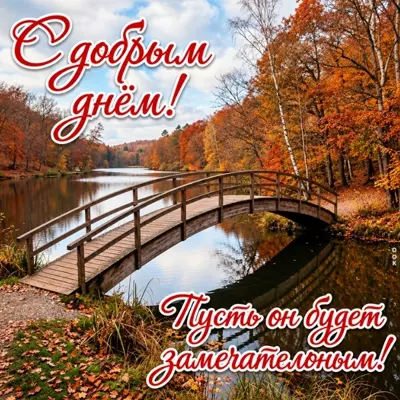 Postcard картинкиа с добрым днем