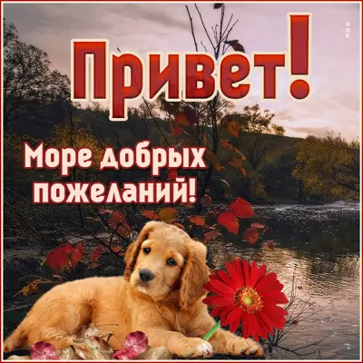 Postcard картинска привет море добрых пожеланий