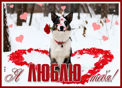 Postcard классная картинка я люблю тебя