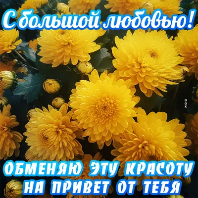 Picture классная открытка с большой любовью