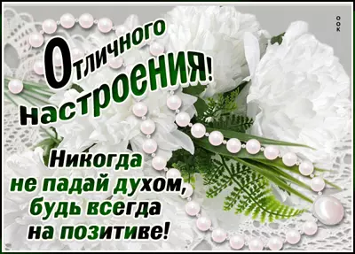Postcard красивая картинка  отличного  настроения !