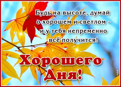 Postcard красивая картинка хорошего осеннего дня
