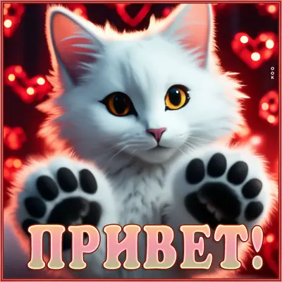 Postcard лучезарная картинка привет