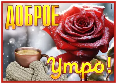 Picture лучезарная открытка доброе утро