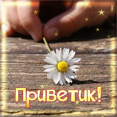 Postcard лучезарная открытка приветик
