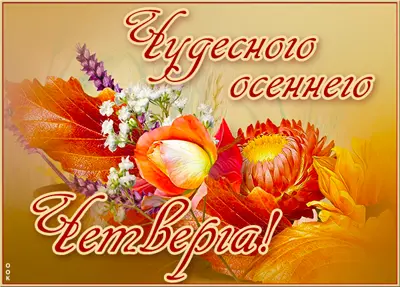 Picture милая картинка чудесного осеннего четверга