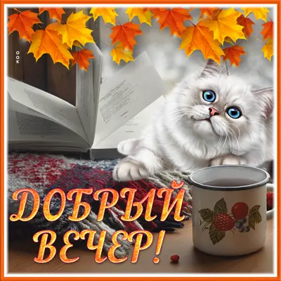 Postcard милая картинка добрый вечер