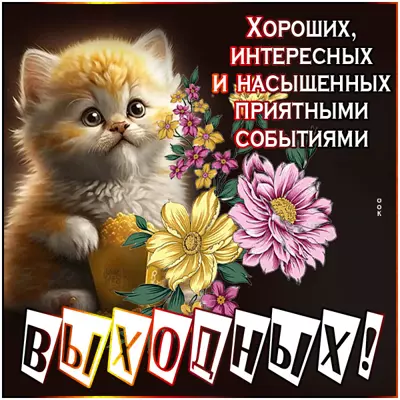 Picture милая картинка интересных выходных