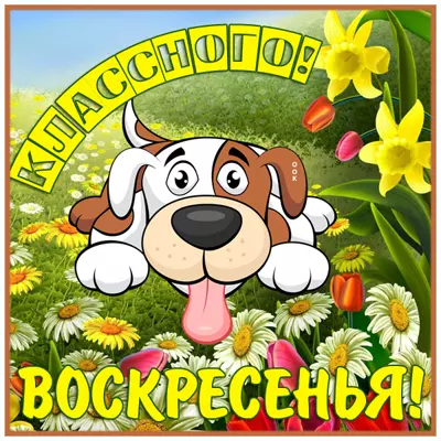 Postcard милая картинка классного воскресенья