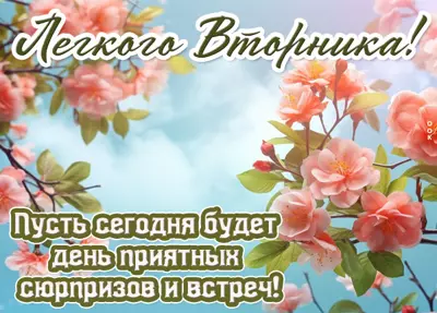 Postcard милая картинка легкого вторника