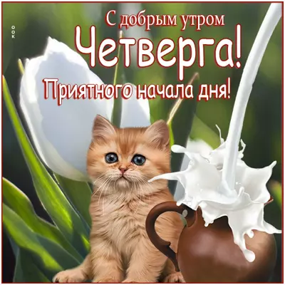 Postcard милая картинка приятного начала дня