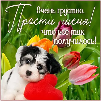 Picture милая картинка прости меня
