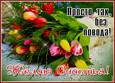 Picture милая картинка просто так без повода