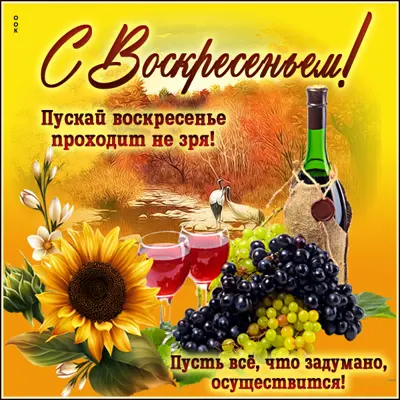 Postcard милая картинка пуской воскресенье проходит не зря