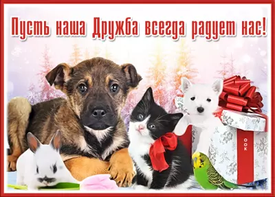 Postcard милая картинка пусть дружба всегда радует нас