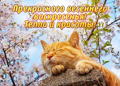 Picture милая картинка тепла и красоты