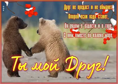 Postcard милая картинка ты мой друг