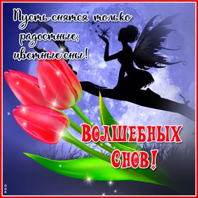 Postcard милая картинка волшебных снов
