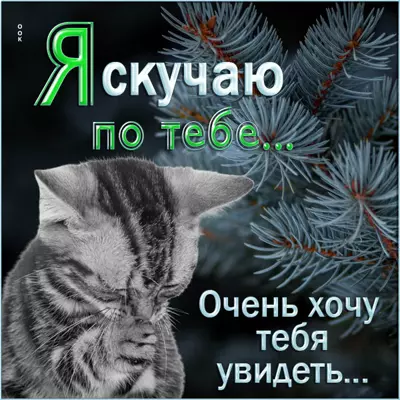 Postcard милая картинка я очень скучаю