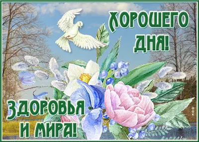 Postcard милая картинка здоровья и мира