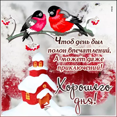 Picture милая открытка а может даже и приключений