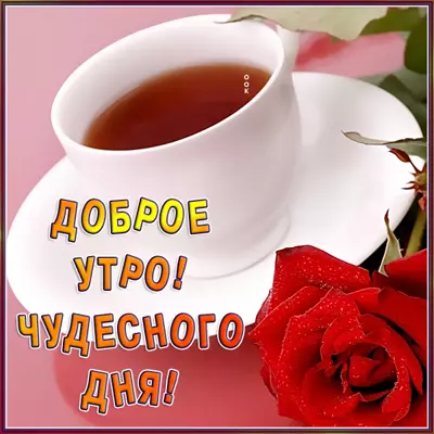 Picture милая открытка чудесного дня
