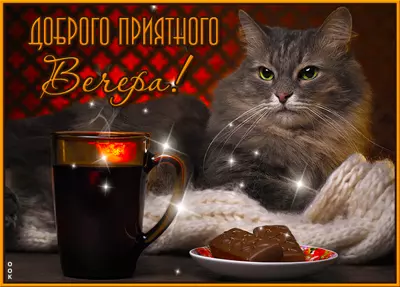 Postcard милая открытка доброго приятного вечра