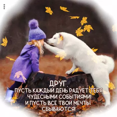 Postcard милая открытка друг