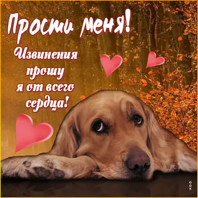 Postcard милая открытка прости меня