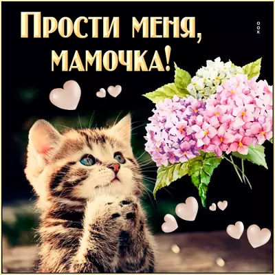 Picture милая открытка прости меня мамочка