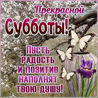 Picture милая открытка пусть радость и позитив  наполнят твою душу