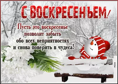 Postcard милая открытка пусть воскресенье позволит поверить в чудеса